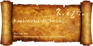 Kaminszky Ábris névjegykártya